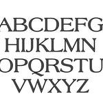 Established Monogram Pillow