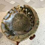 Abalone Shell with Stained Wooden Tripod Stand and 3 California White Sage Smudge Sticks  6" Shell