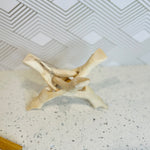 5"+ Hand-selected Premium Abalone Shell with 6" Wooden Cobra Stand Natural